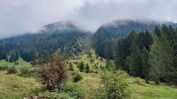 Südtirol 2022 010