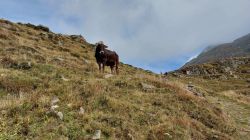 Südtirol 2022 013