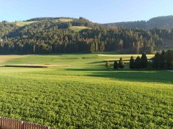 Suedtirol 2023 41