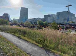 Broloppet 2025 038