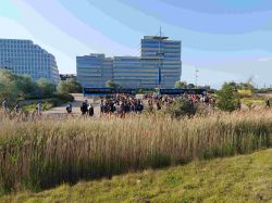 Broloppet 2025 039