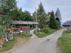Kaernten 2024 029