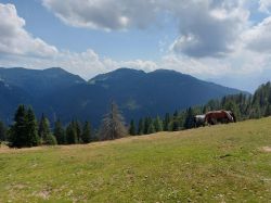 Kaernten 2024 060