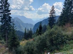 Kaernten 2024 119