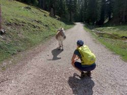 Suedtirol 2024 013'