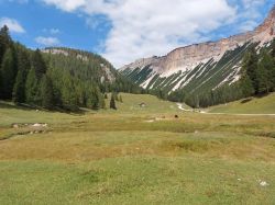 Suedtirol 2024 014'