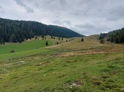 Suedtirol 2024 023'