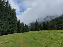 Suedtirol 2024 034'