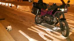 03 BMW R100GS